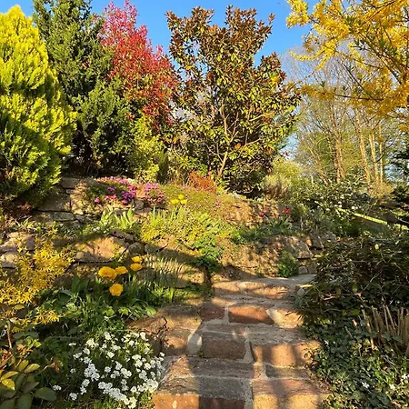 Am Berggarten * Χαϊδελβέργη