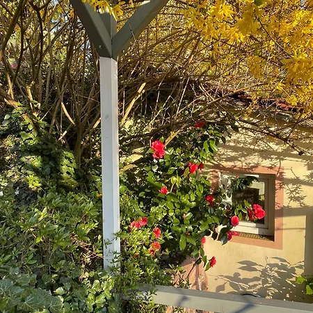Am Berggarten