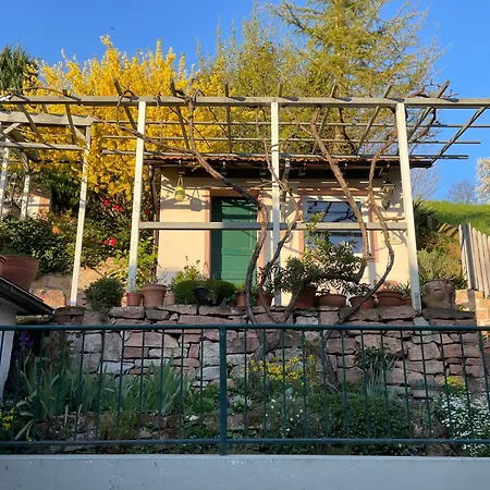 Am Berggarten * Heidelberg