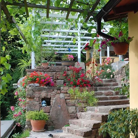 آم بيرغارتن