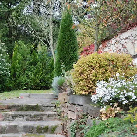 Am Berggarten * Heidelberg