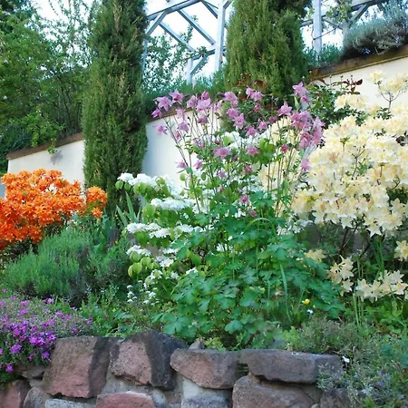 Am Berggarten Apartman Heidelberg