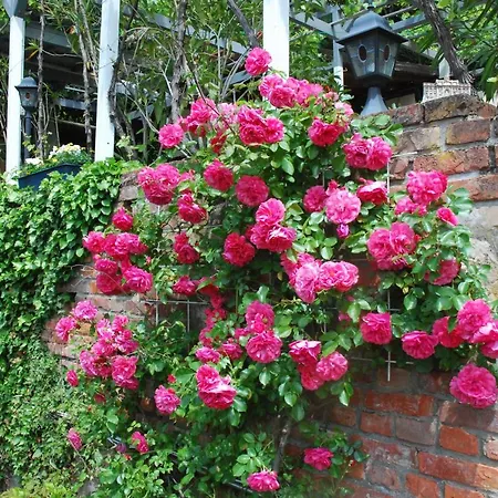 Am Berggarten Heidelberg