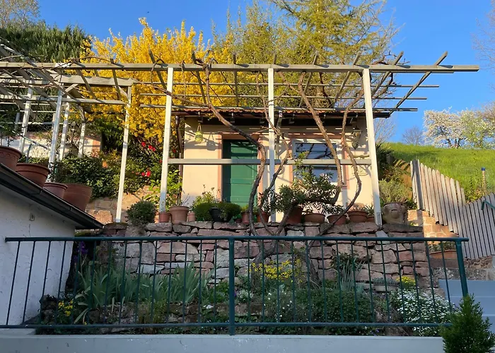 Am Berggarten * Χαϊδελβέργη