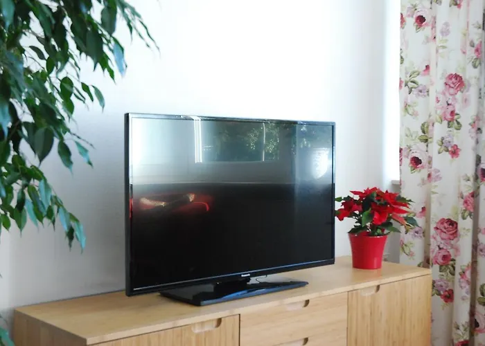 آم بيرغارتن هايدلبرغ