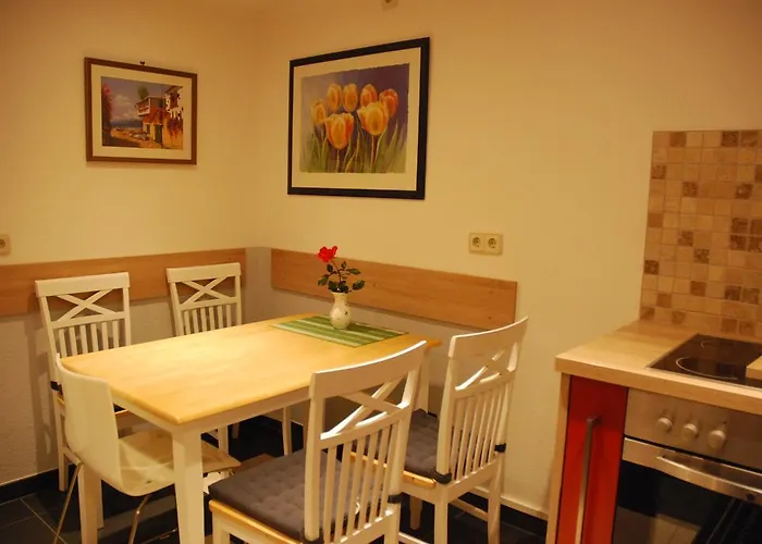 آم بيرغارتن * هايدلبرغ