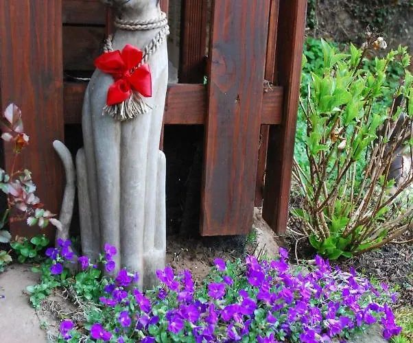 آم بيرغارتن