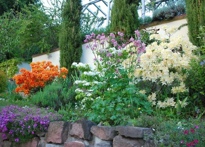 Am Berggarten Διαμέρισμα Χαϊδελβέργη