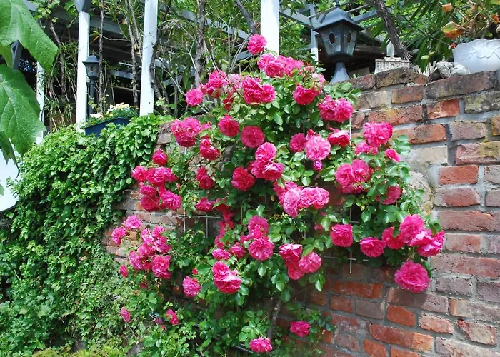 Am Berggarten Χαϊδελβέργη